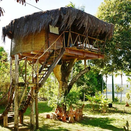 Art Jungle Hotel Itacare Ngoại thất bức ảnh