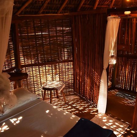 Art Jungle Hotel Itacare Ngoại thất bức ảnh
