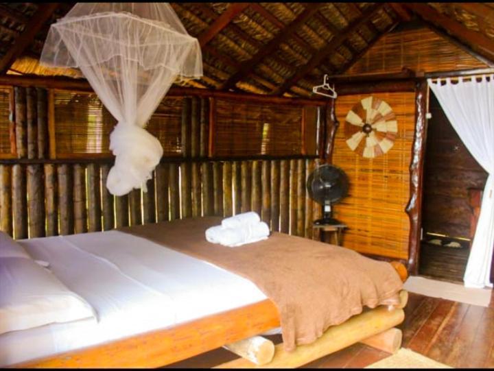 Art Jungle Hotel Itacare Phòng bức ảnh