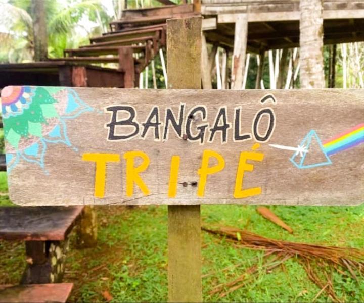 Art Jungle Hotel Itacare Phòng bức ảnh