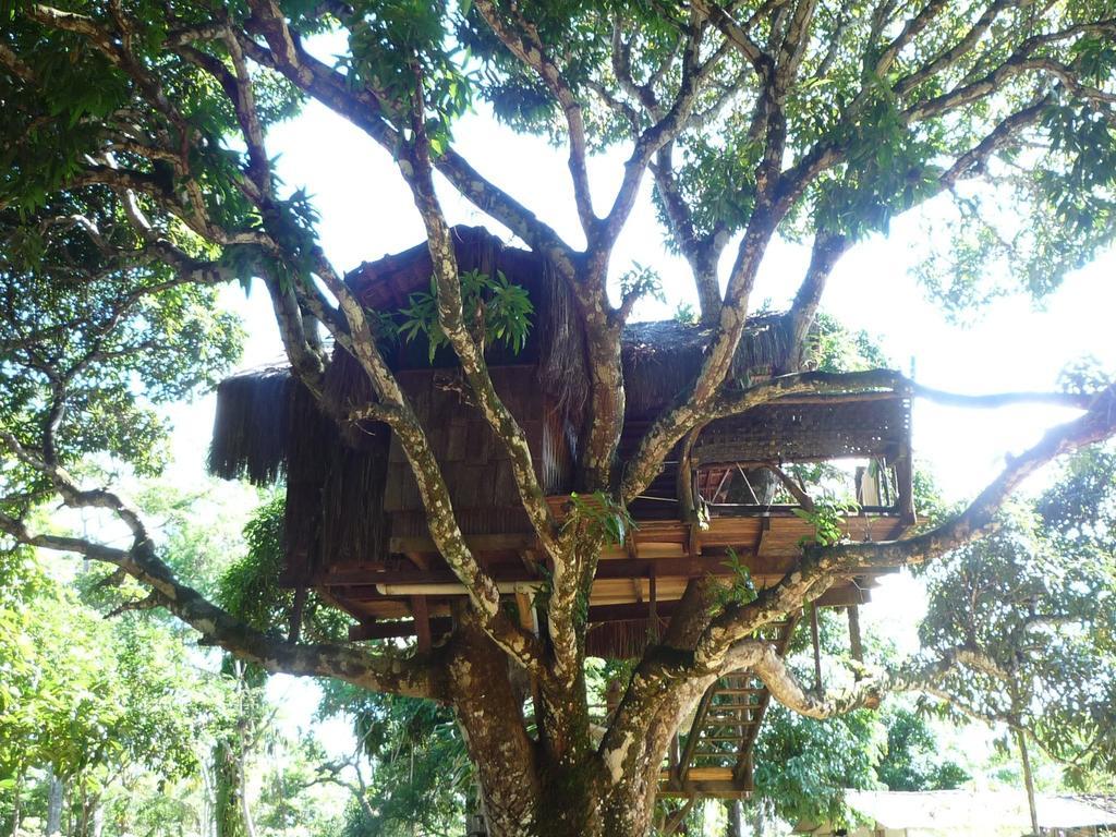 Art Jungle Hotel Itacare Ngoại thất bức ảnh