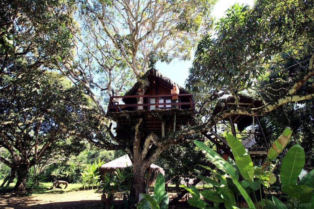 Art Jungle Hotel Itacare Ngoại thất bức ảnh