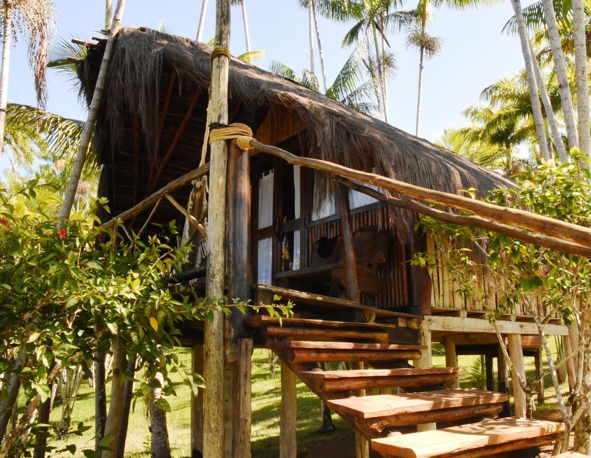 Art Jungle Hotel Itacare Ngoại thất bức ảnh