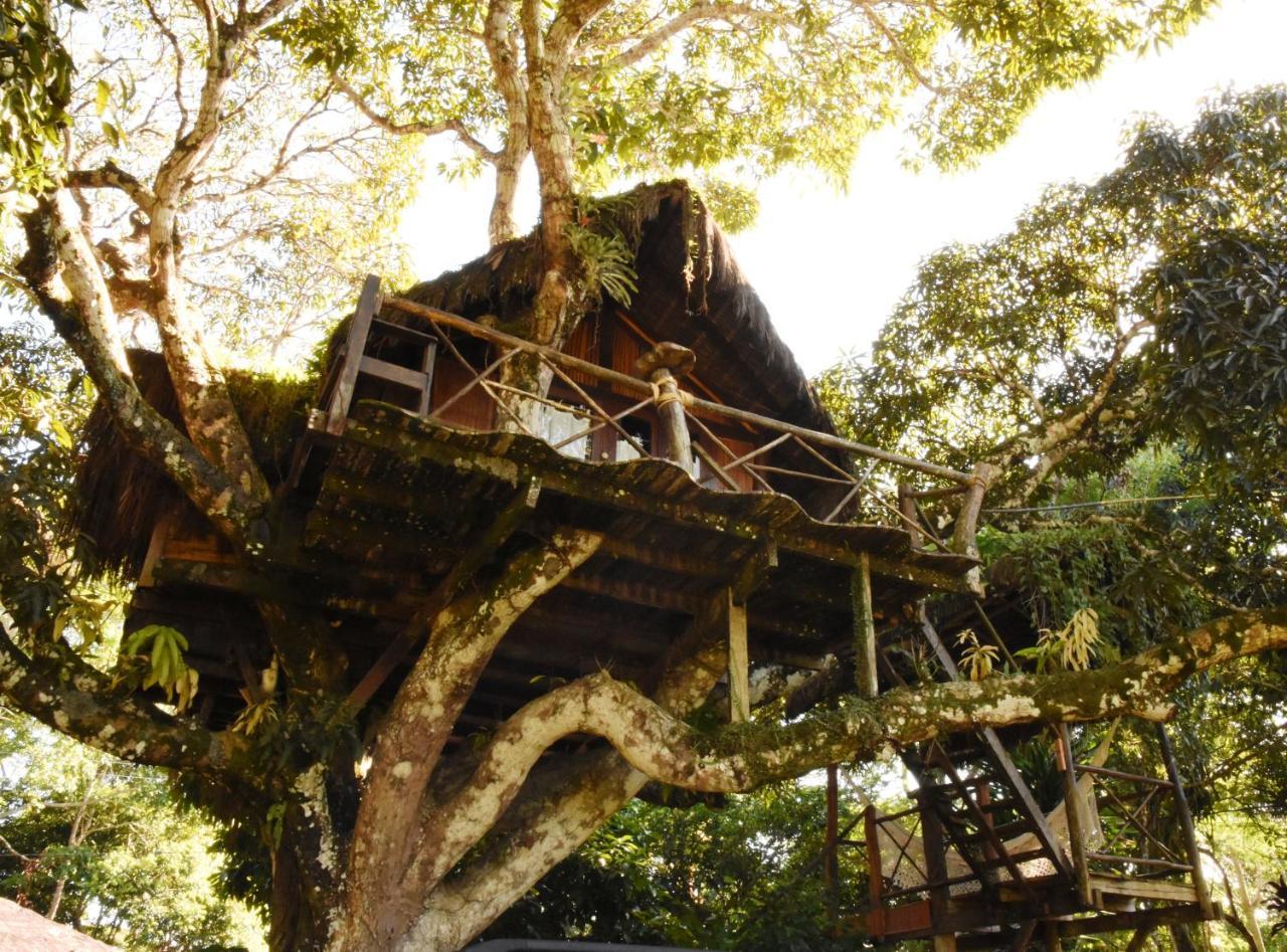 Art Jungle Hotel Itacare Ngoại thất bức ảnh