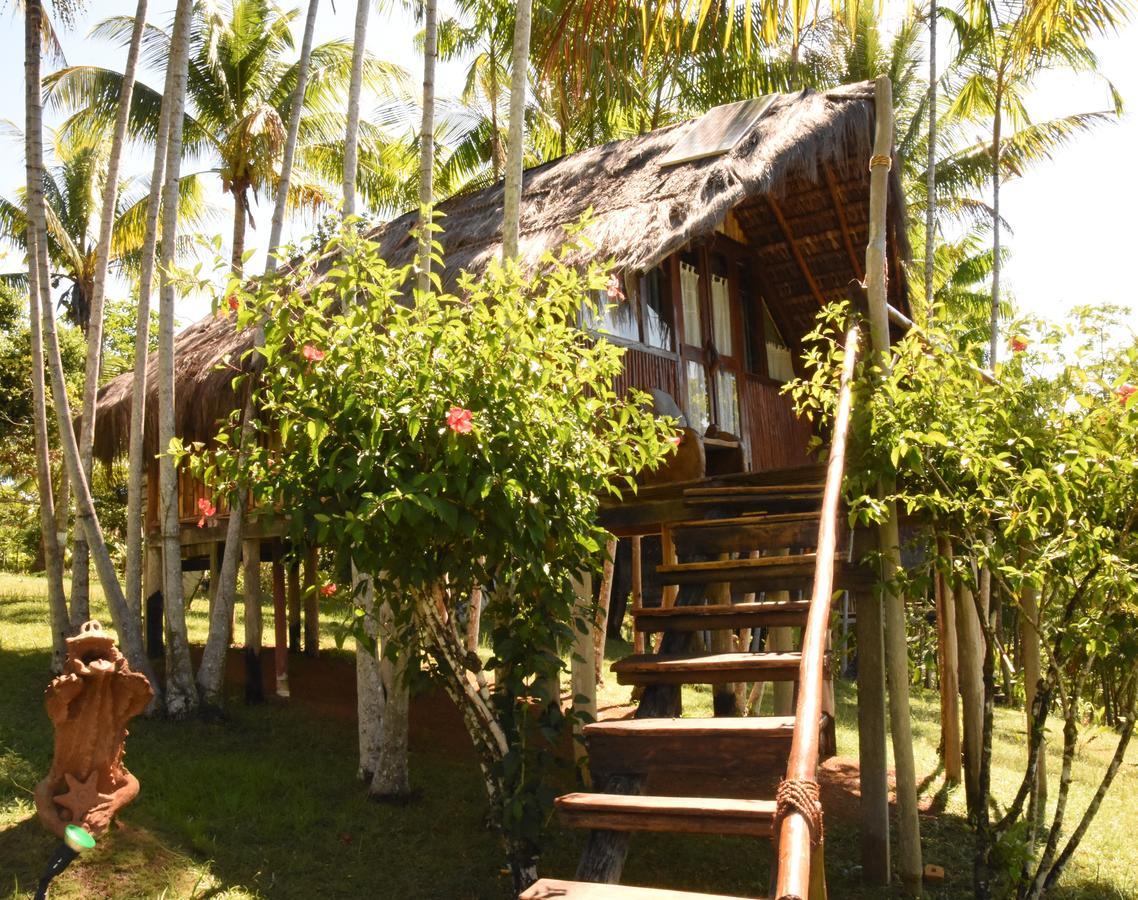 Art Jungle Hotel Itacare Ngoại thất bức ảnh