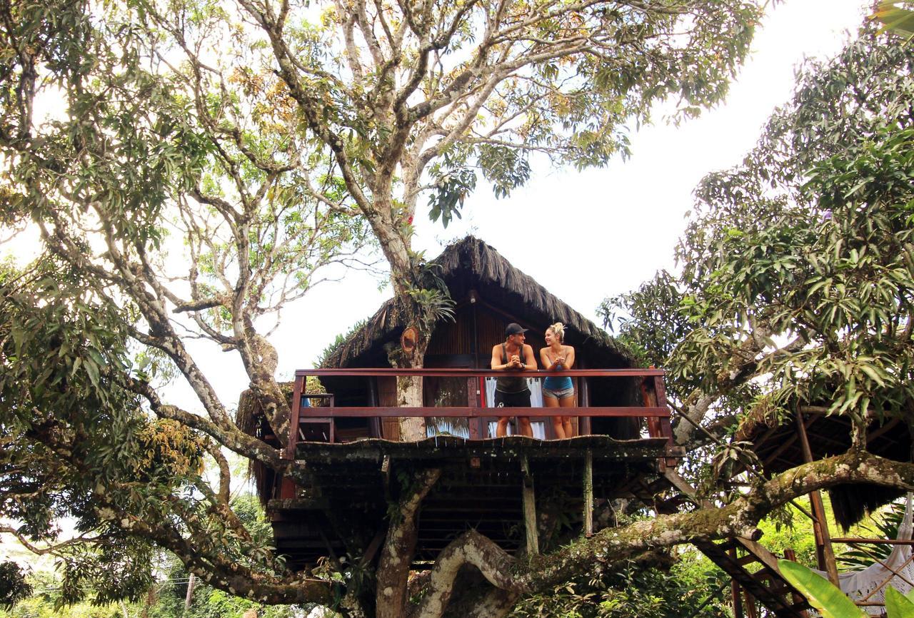 Art Jungle Hotel Itacare Ngoại thất bức ảnh