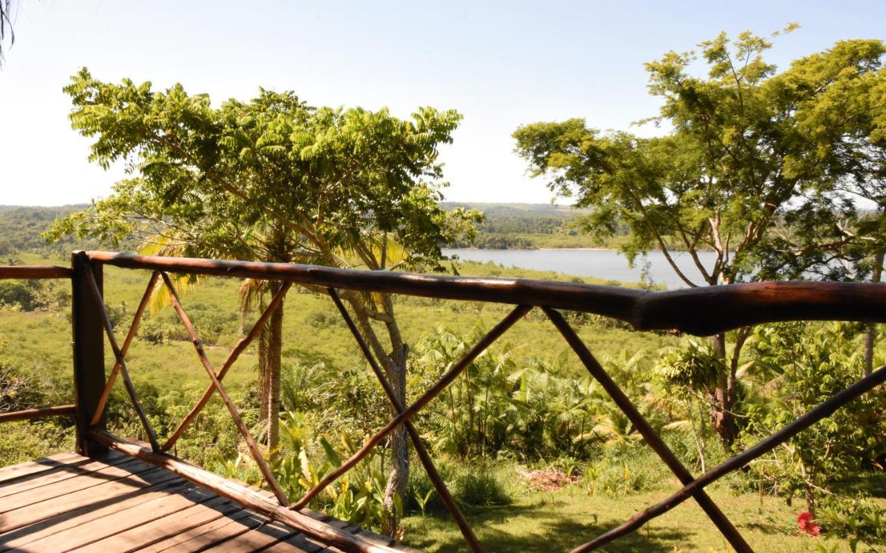 Art Jungle Hotel Itacare Ngoại thất bức ảnh
