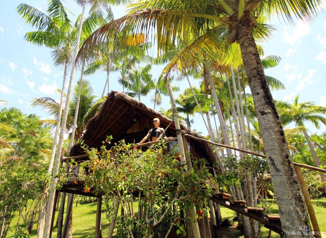 Art Jungle Hotel Itacare Ngoại thất bức ảnh