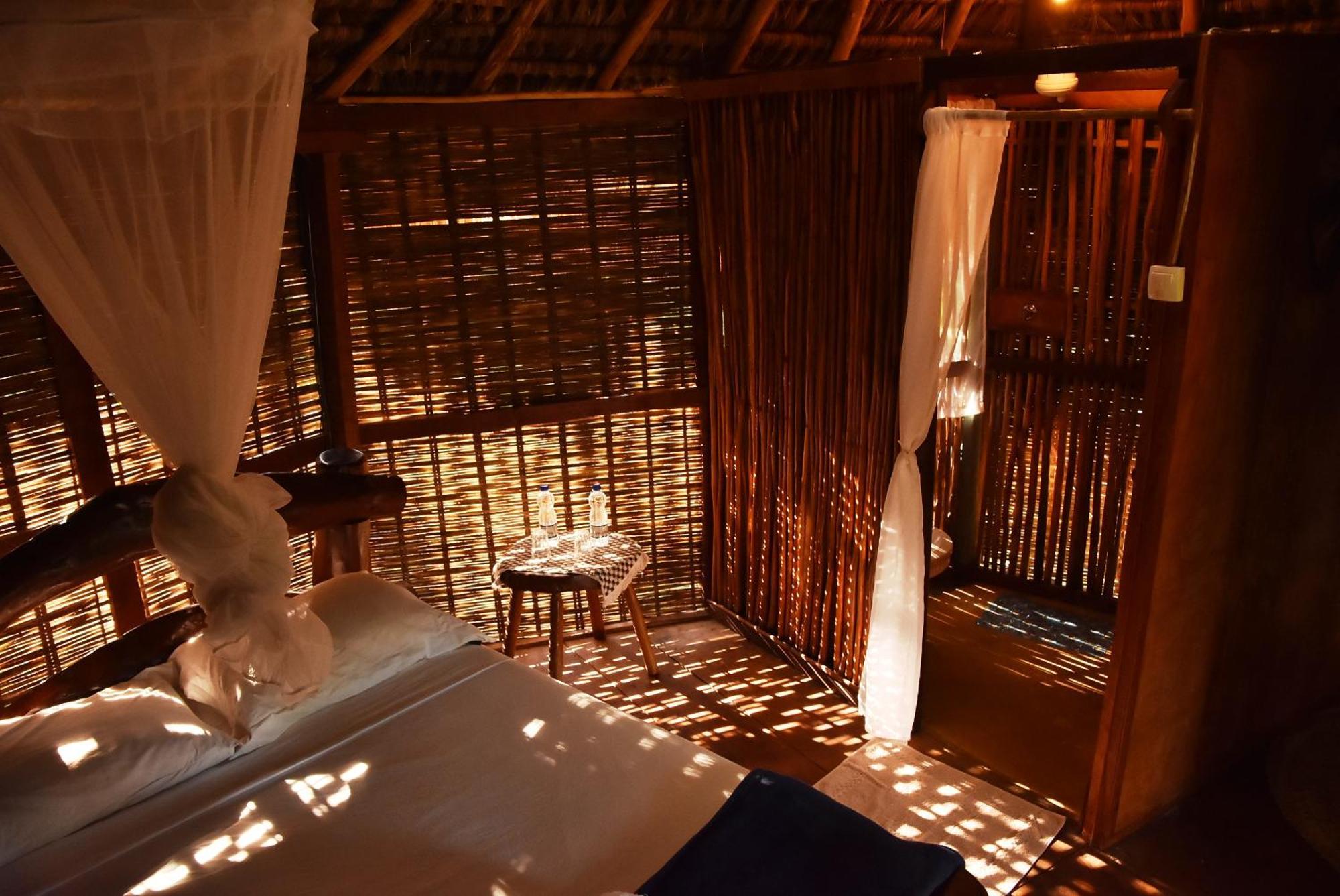 Art Jungle Hotel Itacare Ngoại thất bức ảnh