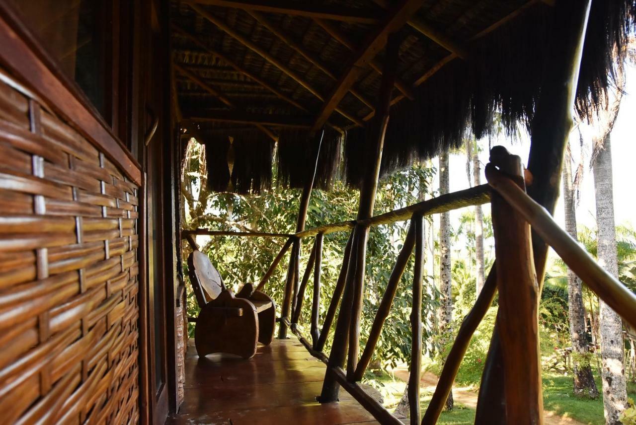 Art Jungle Hotel Itacare Ngoại thất bức ảnh