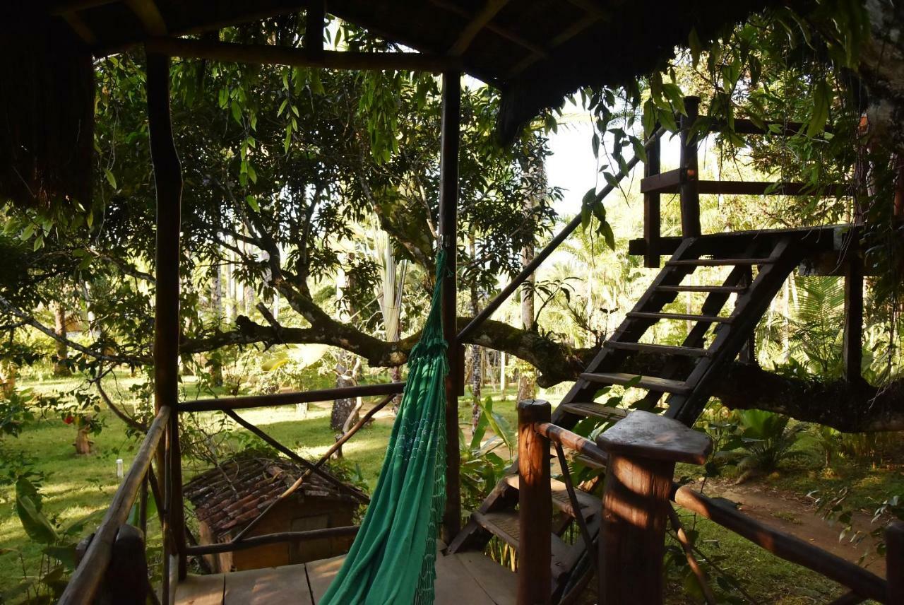 Art Jungle Hotel Itacare Ngoại thất bức ảnh