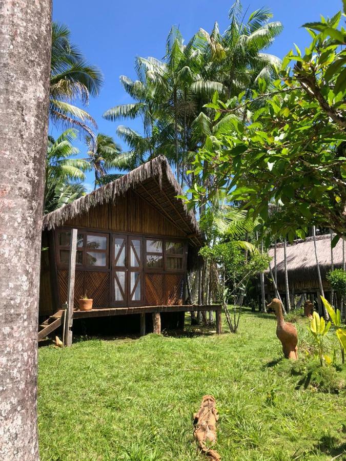Art Jungle Hotel Itacare Ngoại thất bức ảnh